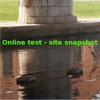 Online test - site snapshot